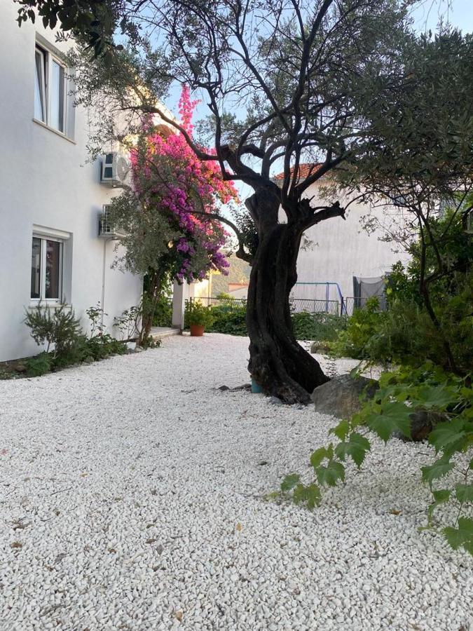 Olive Garden Apartments Poljica  Eksteriør billede